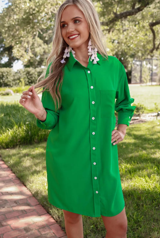 Tristan Button Up Dress